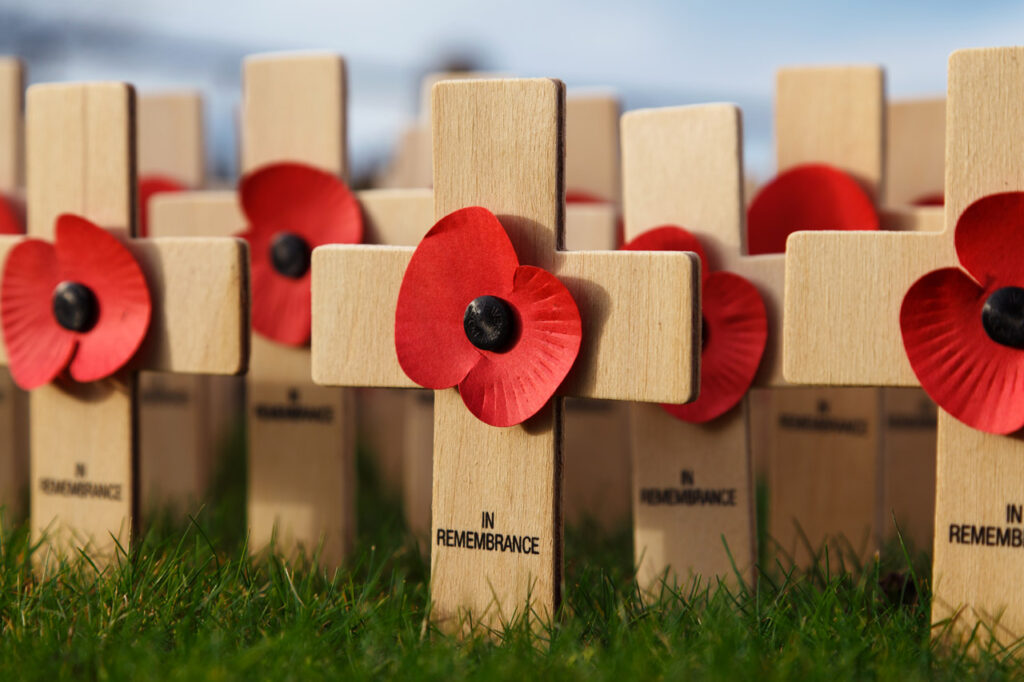 Poppies and crosses